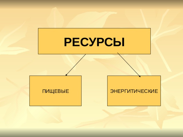РЕСУРСЫ ПИЩЕВЫЕ ЭНЕРГИТИЧЕСКИЕ 