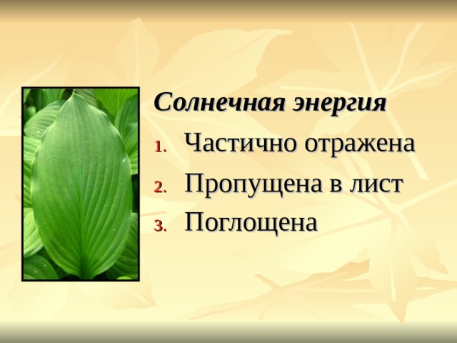 Солнечная энергия Частично отражена Пропущена в лист Поглощена 