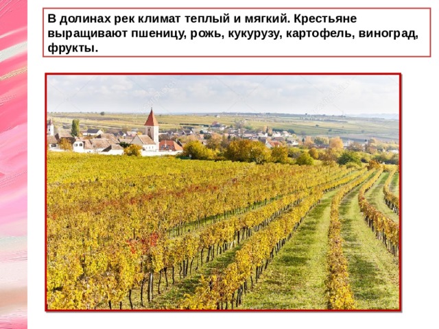В долинах рек климат теплый и мягкий. Крестьяне выращивают пшеницу, рожь, кукурузу, картофель, виноград, фрукты. 