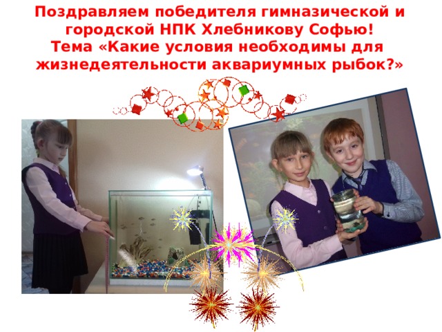 Поздравляем победителя гимназической и городской НПК Хлебникову Софью!  Тема «Какие условия необходимы для жизнедеятельности аквариумных рыбок?» 