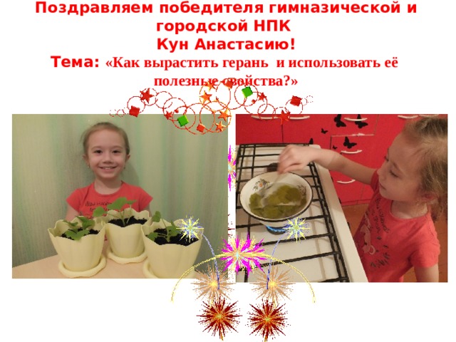  Поздравляем победителя гимназической и городской НПК  Кун Анастасию!  Тема: «Как вырастить герань и использовать её  полезные свойства?»   