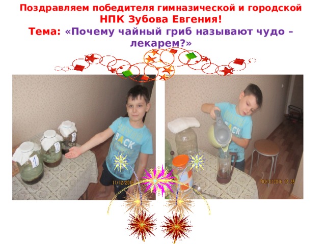 Поздравляем победителя гимназической и городской НПК Зубова Евгения!  Тема: «Почему чайный гриб называют чудо – лекарем?» 