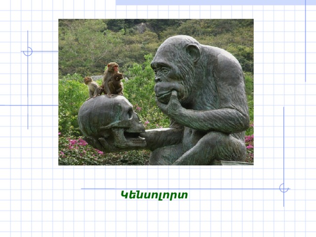 Կենսոլորտ 