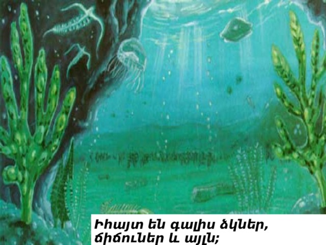 Ի հայտ են գալիս ձկներ, ճիճուներ և այլն; 