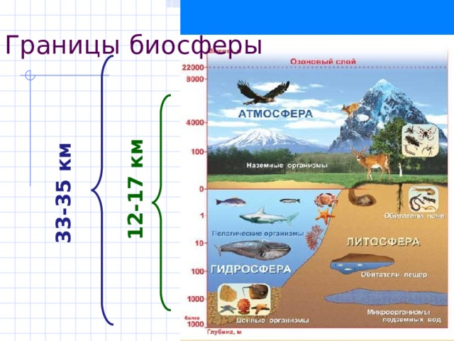 33-35  км 12-17 км Границы биосферы 