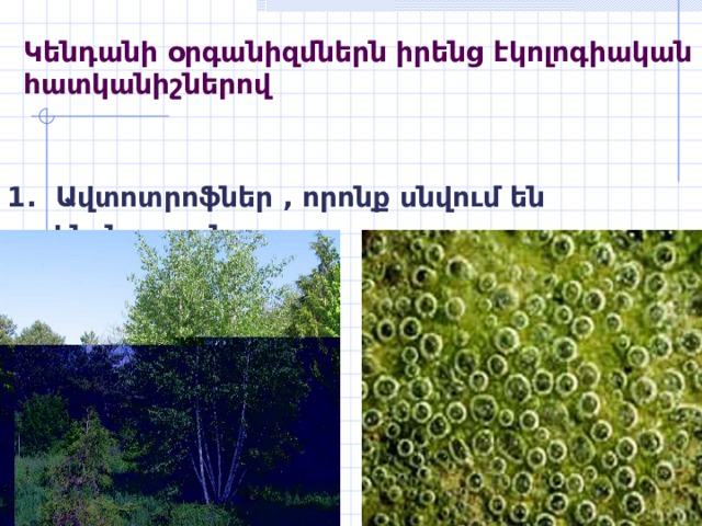 Կ ենդանի օրգանիզմներն իրենց էկոլոգիական հատկանիշներով 1. Ավտոտրոֆներ , որոնք սնվում են ինքնուրույն: 