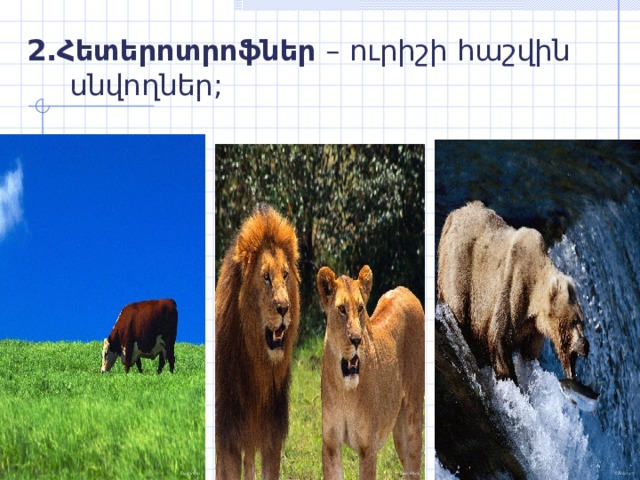 2.Հետերոտրոֆներ – ուրիշի հաշվին սնվողներ; 