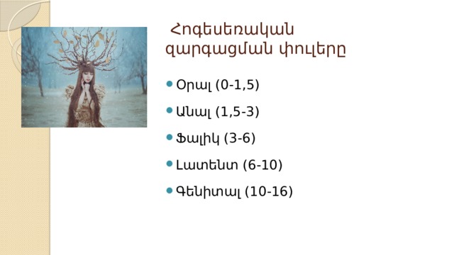  Հոգեսեռական զարգացման փուլերը Օրալ (0-1,5) Անալ (1,5-3) Ֆալիկ (3-6) Լատենտ (6-10) Գենիտալ (10-16) 
