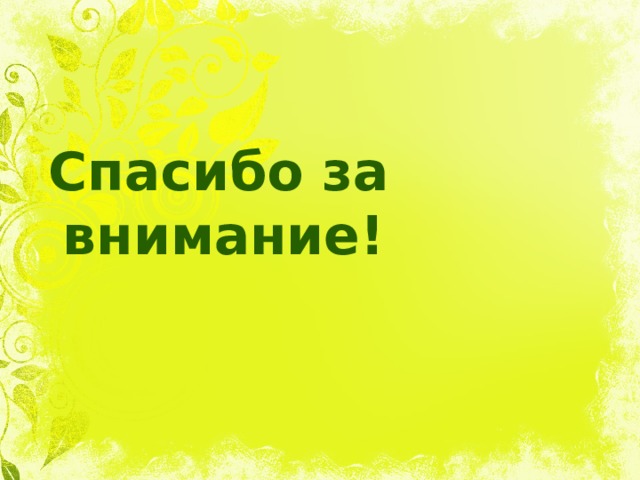  Спасибо за внимание! 