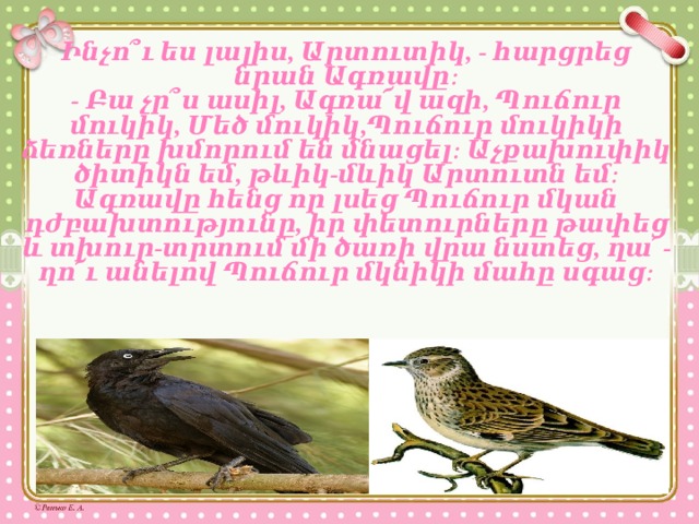 Ինչո՞ւ ես լալիս, Արտուտիկ, - հարցրեց նրան Ագռավը։ - Բա չր՞ս ասիլ, Ագռա՜վ ազի, Պուճուր մուկիկ, Մեծ մուկիկ,Պուճուր մուկիկի ձեռները խմորում են մնացել։ Աչքախուփիկ ծիտիկն եմ, թևիկ-մևիկ Արտուտն եմ։ Ագռավը հենց որ լսեց Պուճուր մկան դժբախտությունը, իր փետուրները թափեց և տխուր-տրտում մի ծառի վրա նստեց, ղա՜-ղո՜ւ անելով Պուճուր մկնիկի մահը սգաց։ 
