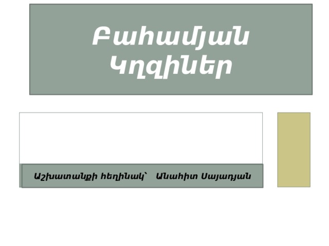 Բահամյան Կղզիներ Աշխատանքի հեղինակ՝ Անահիտ Սայադյան 