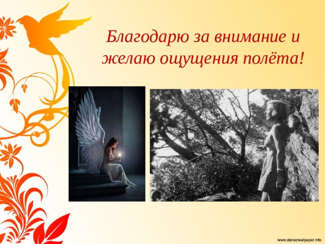 Благодарю за внимание и желаю ощущения полёта! 