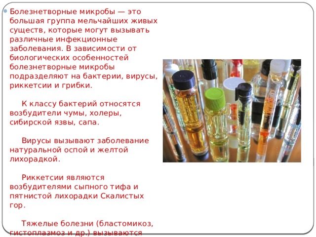 Болезнетворные микробы — это большая группа мельчайших живых существ, которые могут вызывать различные инфекционные заболевания. В зависимости от биологических особенностей болезнетворные микробы подразделяют на бактерии, вирусы, риккетсии и грибки.             К классу бактерий относятся возбудители чумы, холеры, сибирской язвы, сапа.             Вирусы вызывают заболевание натуральной оспой и желтой лихорадкой.             Риккетсии являются возбудителями сыпного тифа и пятнистой лихорадки Скалистых гор.             Тяжелые болезни (бластомикоз, гистоплазмоз и др.) вызываются грибками. 
