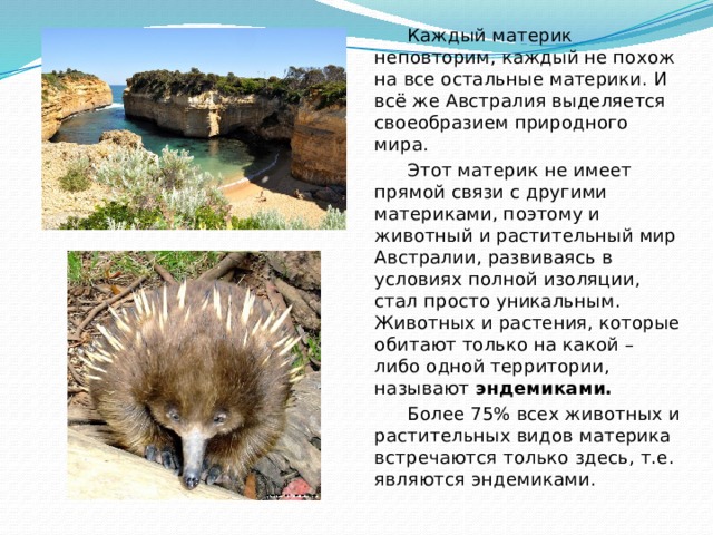  Каждый материк неповторим, каждый не похож на все остальные материки. И всё же Австралия выделяется своеобразием природного мира.  Этот материк не имеет прямой связи с другими материками, поэтому и животный и растительный мир Австралии, развиваясь в условиях полной изоляции, стал просто уникальным. Животных и растения, которые обитают только на какой – либо одной территории, называют эндемиками.  Более 75% всех животных и растительных видов материка встречаются только здесь, т.е. являются эндемиками. 