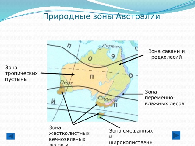 Природные зоны Австралии   Зона саванн и редколесий Зона тропических пустынь Зона переменно-влажных лесов Зона жестколистных вечнозеленых лесов и кустарников Зона смешанных и широколиственных лесов 