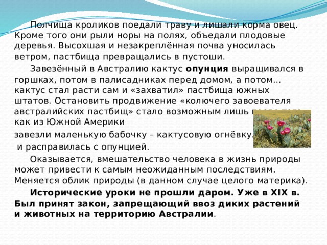  Полчища кроликов поедали траву и лишали корма овец. Кроме того они рыли норы на полях, объедали плодовые деревья. Высохшая и незакреплённая почва уносилась ветром, пастбища превращались в пустоши.  Завезённый в Австралию кактус опунция выращивался в горшках, потом в палисадниках перед домом, а потом… кактус стал расти сам и «захватил» пастбища южных штатов. Остановить продвижение «колючего завоевателя австралийских пастбищ» стало возможным лишь после того, как из Южной Америки завезли маленькую бабочку – кактусовую огнёвку. Она  и расправилась с опунцией.  Оказывается, вмешательство человека в жизнь природы может привести к самым неожиданным последствиям. Меняется облик природы (в данном случае целого материка).  Исторические уроки не прошли даром. Уже в XIX в. Был принят закон, запрещающий ввоз диких растений и животных на территорию Австралии . 