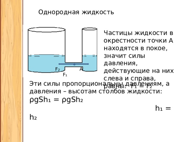 Однородная жидкость Частицы жидкости в окрестности точки А находятся в покое, значит силы давления, действующие на них слева и справа, равны: F ₁ = F₂ F ₂ A F₁ Эти силы пропорциональны давлениям, а давления – высотам столбов жидкости: ρgSh₁ = ρgSh₂  h₁ = h₂ 