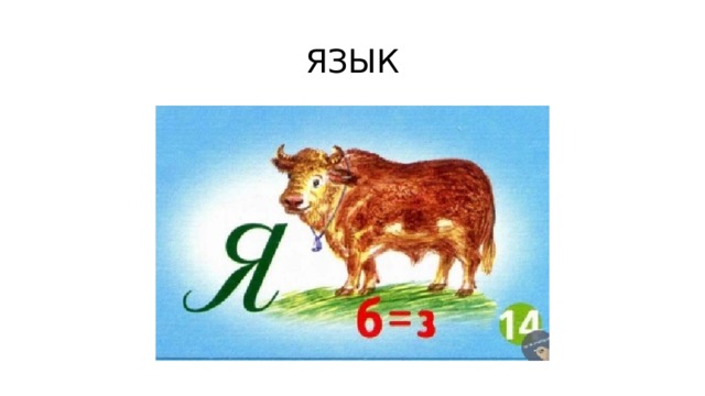 ЯЗЫК 