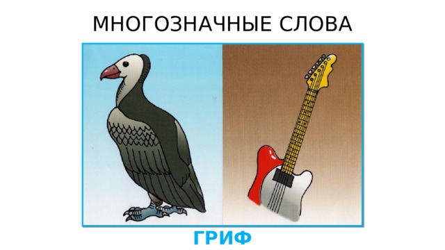 МНОГОЗНАЧНЫЕ СЛОВА ГРИФ 