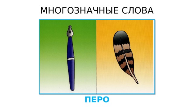 МНОГОЗНАЧНЫЕ СЛОВА ПЕРО 