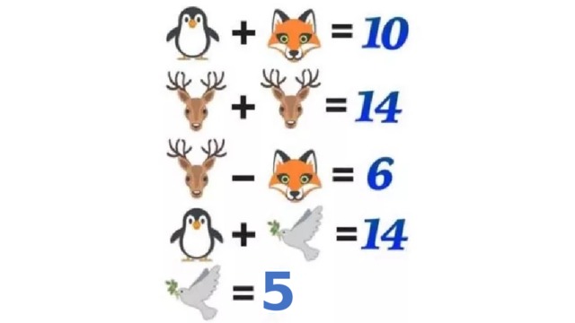 5 5 