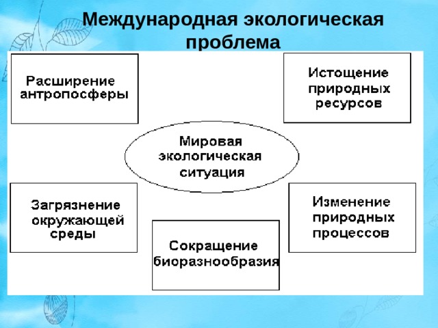Международная экологическая проблема 