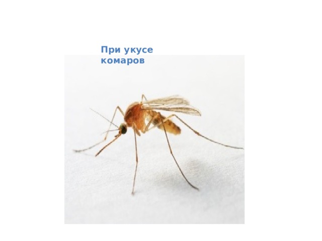 При укусе комаров 