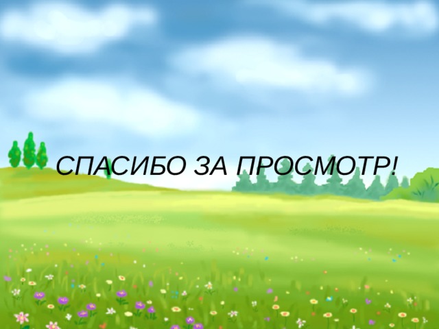 СПАСИБО ЗА ПРОСМОТР! 