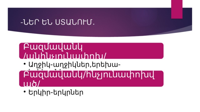 -ՆԵՐ ԵՆ ՍՏԱՆՈՒՄ. Բազմավանկ /անհնչյունափոխ/ Աղջիկ-աղջիկներ,երեխա-երեխաներ Աղջիկ-աղջիկներ,երեխա-երեխաներ Բազմավանկ/հնչյունափոխված/ Երկիր-երկրներ Երկիր-երկրներ 