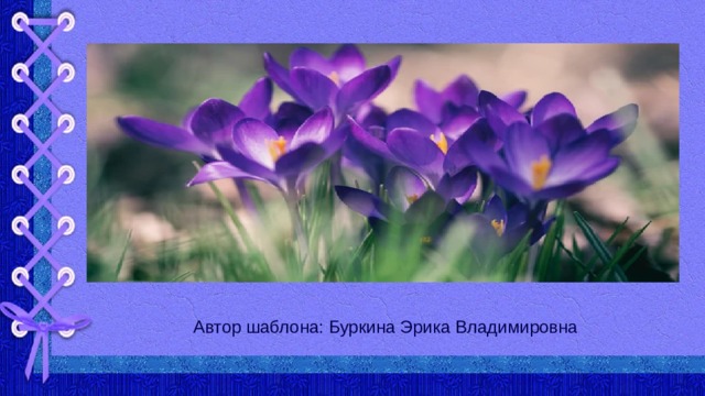 Автор шаблона: Буркина Эрика Владимировна 