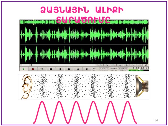 ՁԱՅՆԱՅԻՆ ԱԼԻՔԻ ՏԱՐԱԾՈՒՄԸ  
