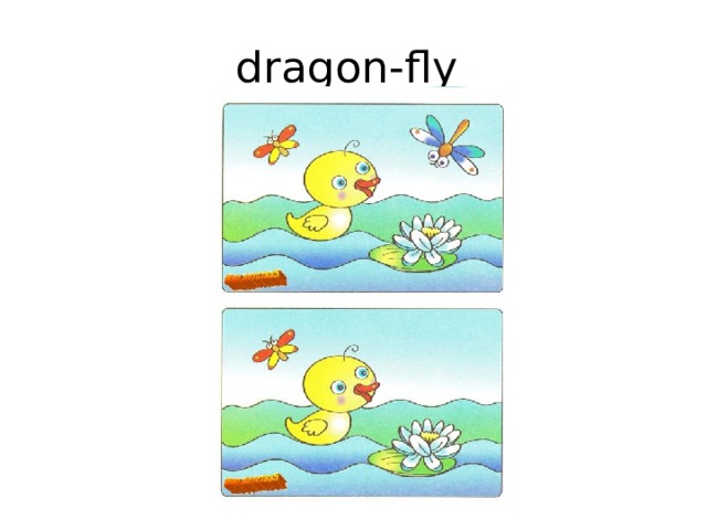 dragon-fly 