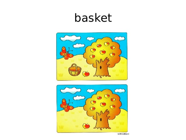 basket 