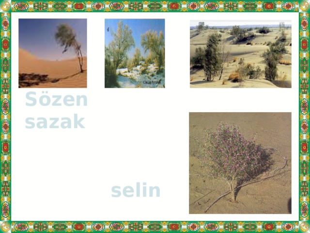 Sözen sazak   selin 