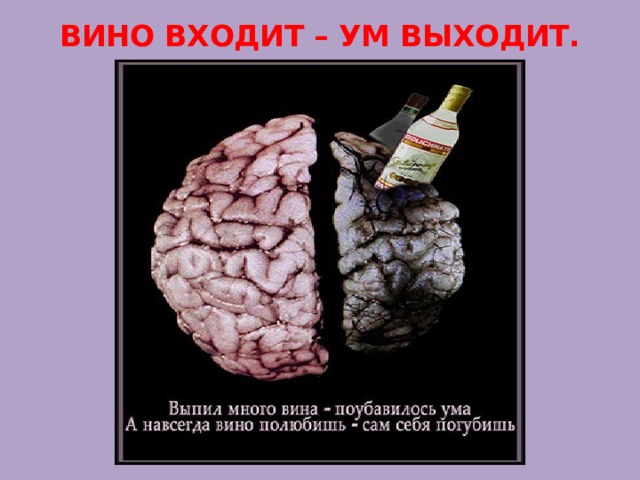 ВИНО ВХОДИТ – УМ ВЫХОДИТ. 