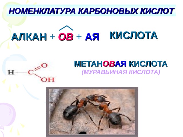 НОМЕНКЛАТУРА КАРБОНОВЫХ КИСЛОТ КИСЛОТА АЛКАН + ОВ + АЯ МЕТАН ОВ АЯ  КИСЛОТА (МУРАВЬИНАЯ КИСЛОТА) 