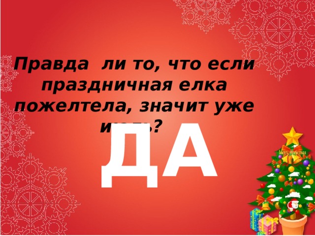 Правда ли то, что если праздничная елка пожелтела, значит уже июль? ДА 
