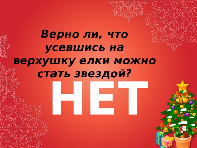 Верно ли, что усевшись на верхушку елки можно стать звездой? НЕТ 