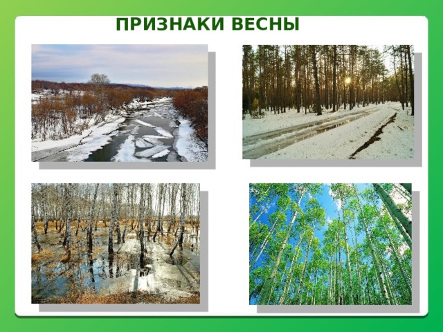 Признаки весны 