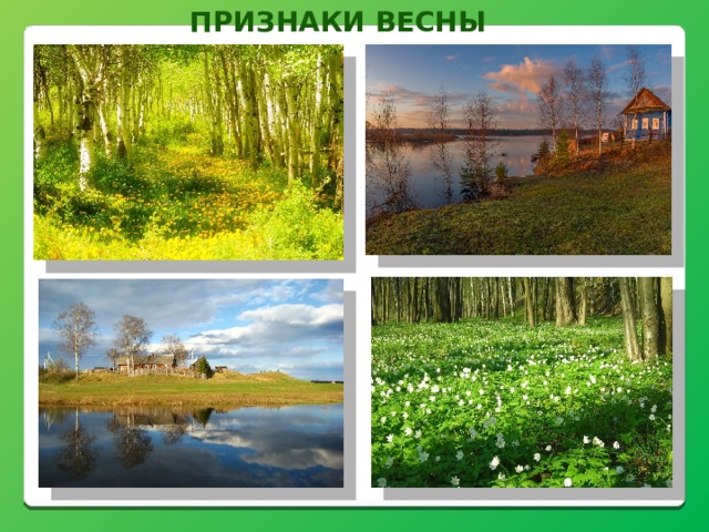 Признаки весны 