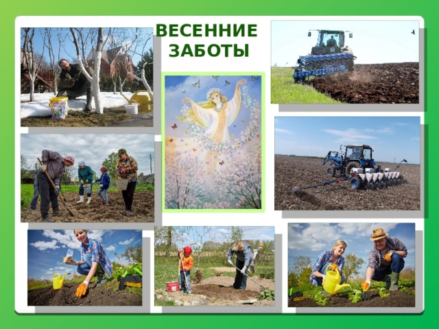 Весенние заботы 