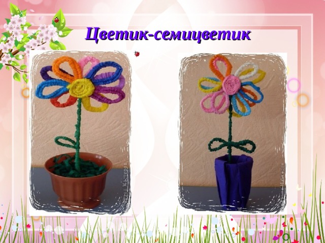 Цветик-семицветик 