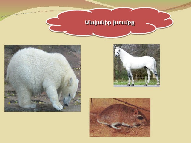 Անվանիր խումբը 