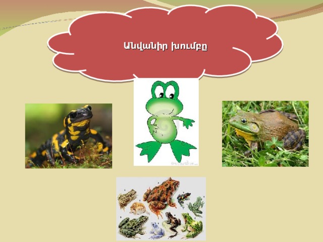 Անվանիր խումբը 