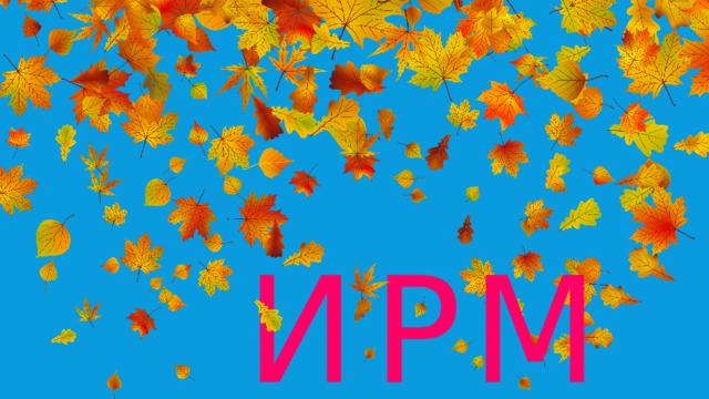 И Р М 14. ИРМ  