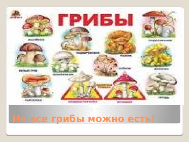 Не все грибы можно есть! 