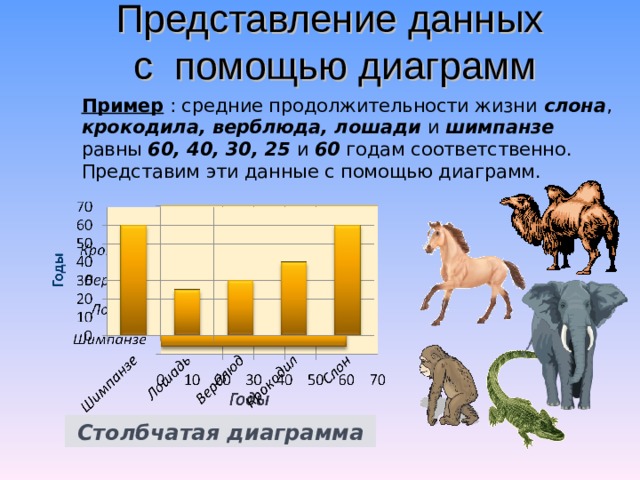 Представление данных  с помощью диаграмм Пример : средние продолжительности жизни слона , крокодила, верблюда, лошади и шимпанзе равны 60, 40, 30, 25 и 60 годам соответственно. Представим эти данные с помощью диаграмм. Линейная диаграмма Столбчатая диаграмма 