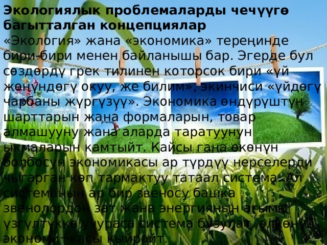 Экологиялык проблемаларды чечүүгө багытталган концепциялар «Экология» жана «экономика» тереңинде бири-бири менен байланышы бар. Эгерде бул сөздөрдү грек тилинен которсок бири «үй жөнүндөгү окуу, же билим», экинчиси «үйдөгү чарбаны жүргүзүү». Экономика өндүрүштүн шарттарын жана формаларын, товар алмашууну жана аларда таратуунун ыкмаларын камтыйт. Кайсы гана өкөнүн болбосун экономикасы ар түрдүү нерселерди чыгарган көп тармактуу татаал система. Ал системанын ар бир звеносу башка звенолордон зат жана энергиянын агымы үзгүлтүккө учураса система бузулат, өлкөнүн экономи¬касы кыйрайт. 