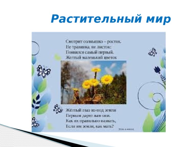  Растительный мир 