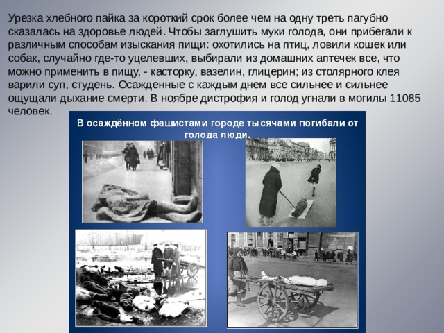 Урезка хлебного пайка за короткий срок более чем на одну треть пагубно сказалась на здоровье людей. Чтобы заглушить муки голода, они прибегали к различным способам изыскания пищи: охотились на птиц, ловили кошек или собак, случайно где-то уцелевших, выбирали из домашних аптечек все, что можно применить в пищу, - касторку, вазелин, глицерин; из столярного клея варили суп, студень. Осажденные с каждым днем все сильнее и сильнее ощущали дыхание смерти. В ноябре дистрофия и голод угнали в могилы 11085 человек. 